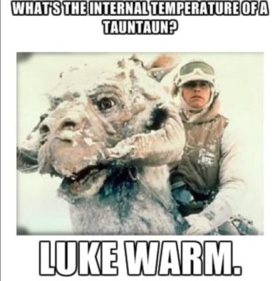 36-tauntaun-e1525391756606.jpg