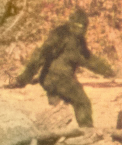 bigfoot2.jpg