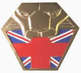 Brit-Cit Judge Badge.jpg