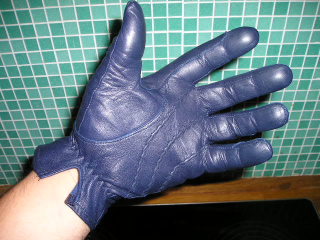 glove002.jpg