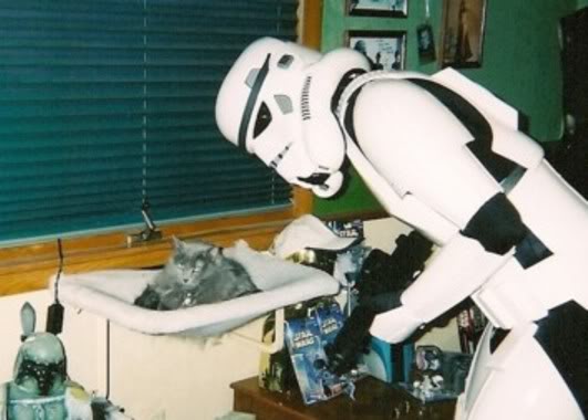 KittyTrooper.jpg