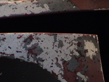 Right Mandible Maroon Detail 3.JPG