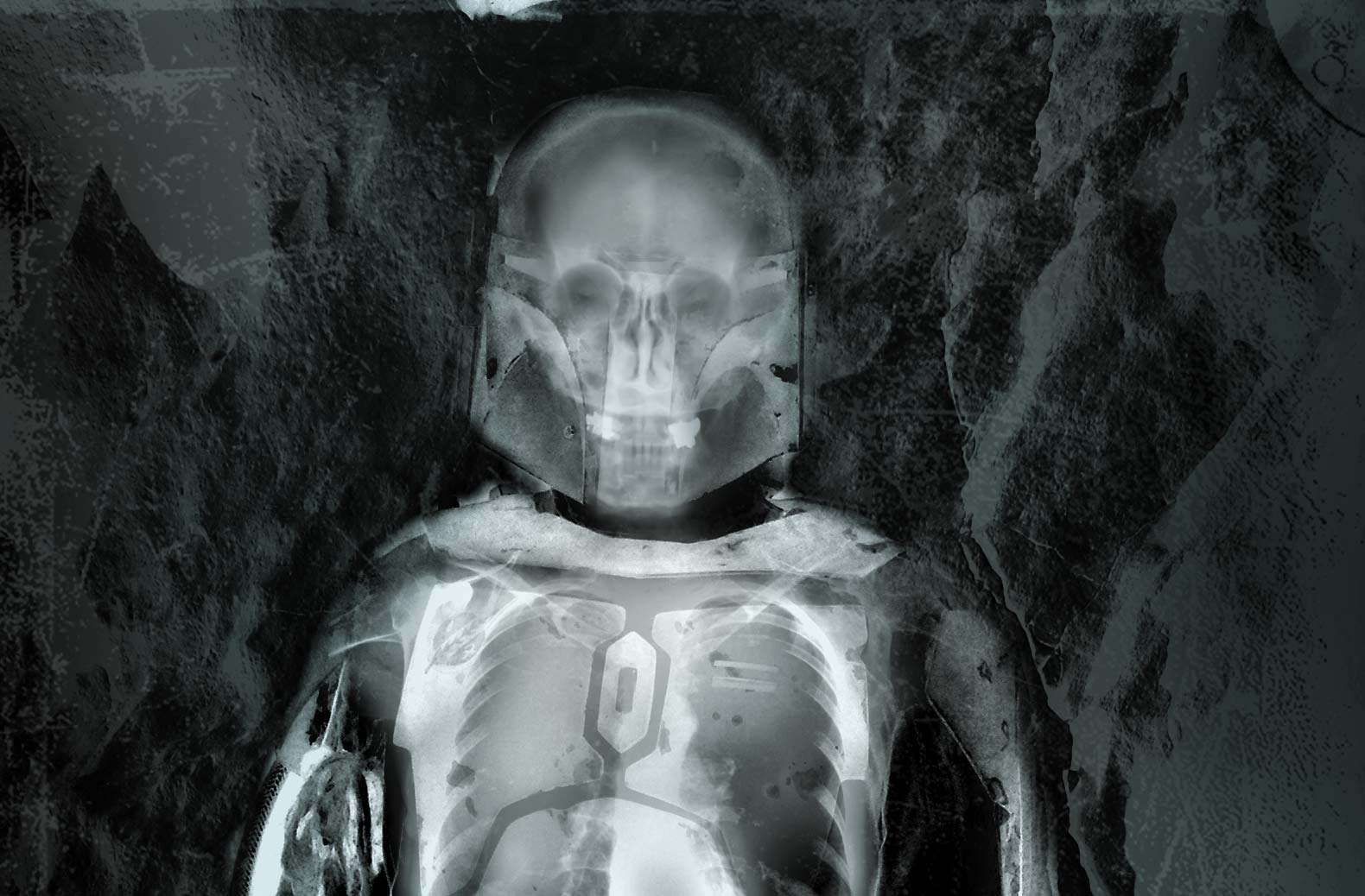 skull-xrayfett.jpg