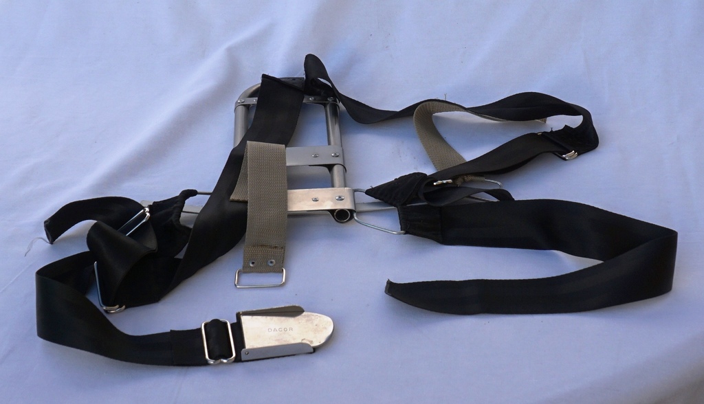 Harness And Buckle