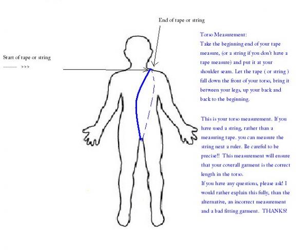 Torso Measurement Guide